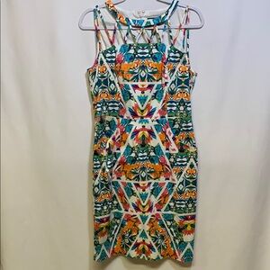 Adrianna Papell Colorful Midi Dress